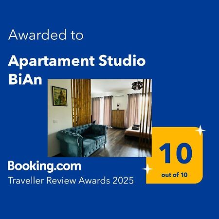 Apartament Studio Bian Тимишоара Экстерьер фото