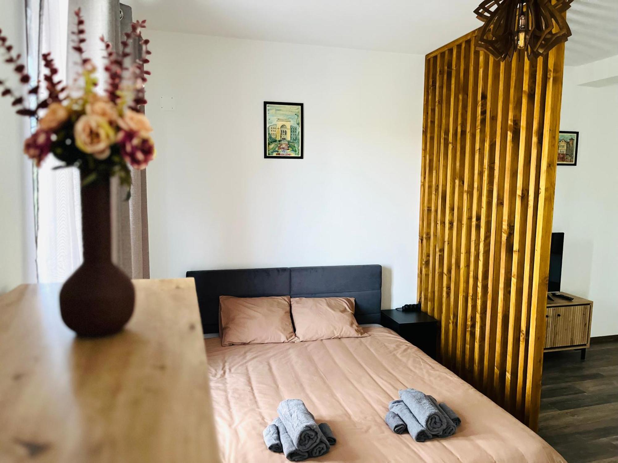 Apartament Studio Bian Тимишоара Экстерьер фото