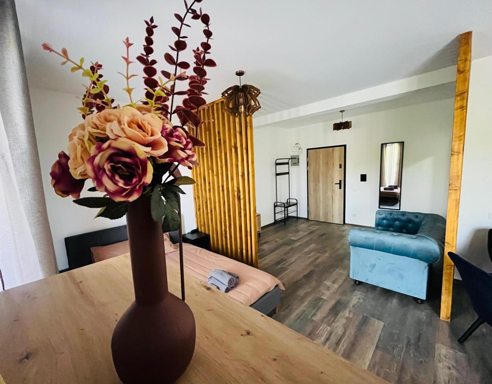 Apartament Studio Bian Тимишоара Экстерьер фото