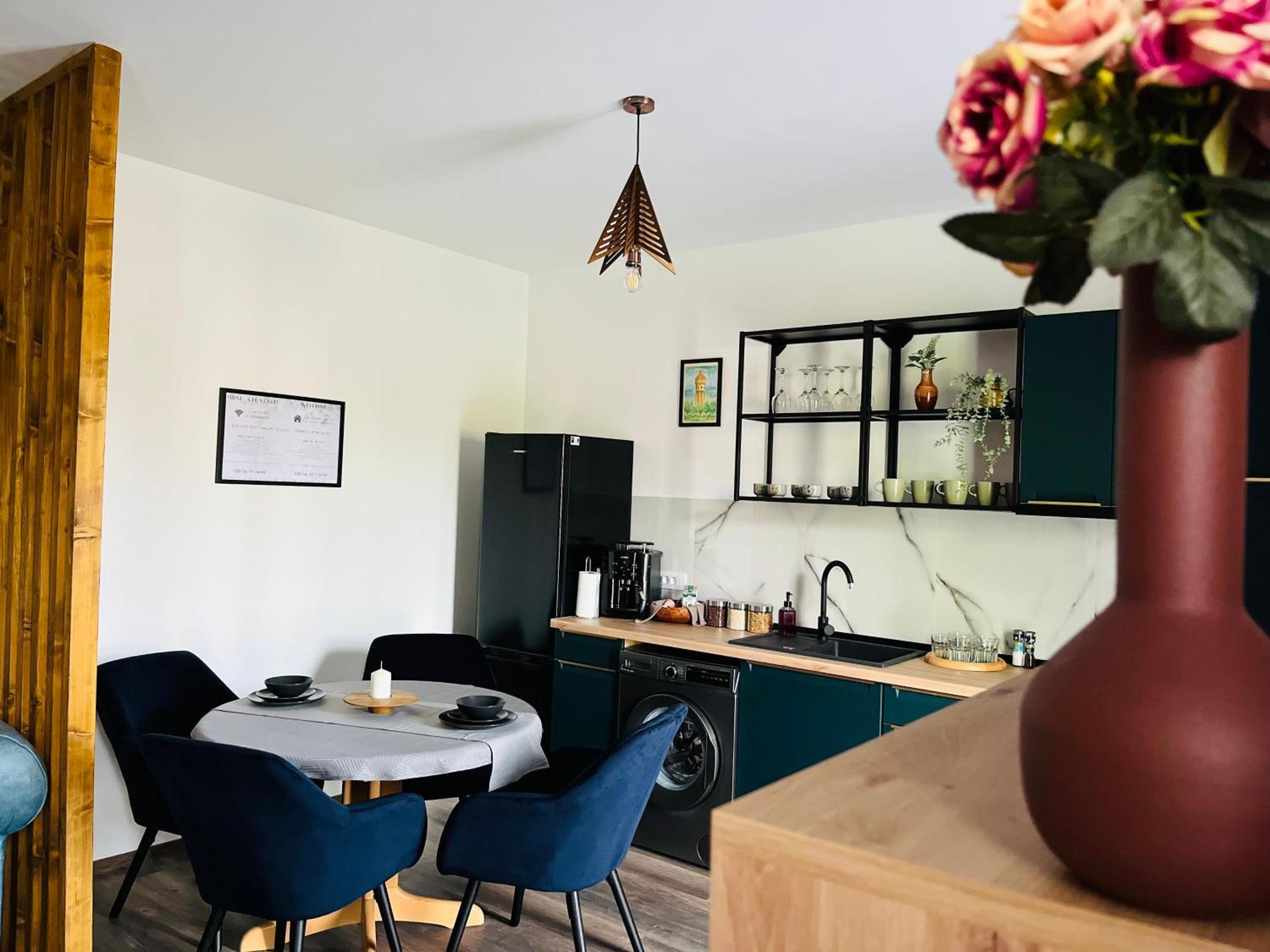 Apartament Studio Bian Тимишоара Экстерьер фото